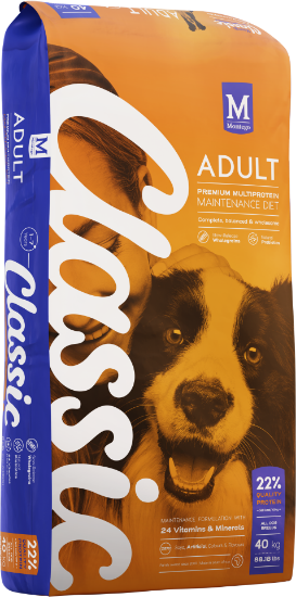 Picture of Montego Classic Adult 40kg