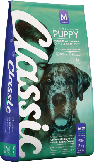 Picture of Montego Classic Large Breed Puppy 2kg