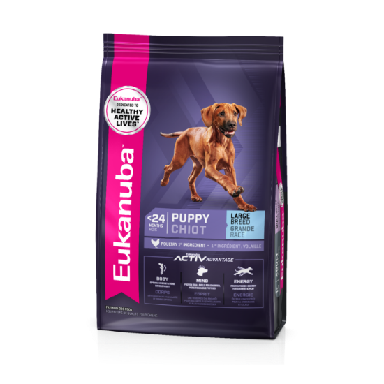 Picture of Eukanuba Large Breed Puppy Chicken 15Kg